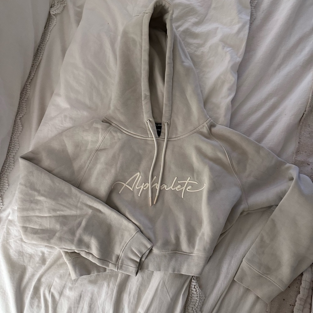 Alphalete cropped hoodie